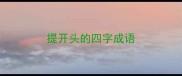 提开头的四字成语