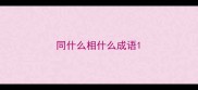 同什么相什么成语