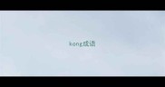 kong成语