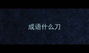 成语什么刀