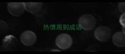 热情周到成语