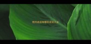 楚的成语有哪些成语大全