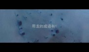 带龙的成语有