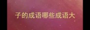子的成语哪些成语大