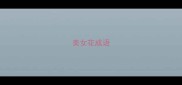 美女花成语