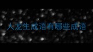 人龙生成语有哪些成语