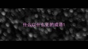 什么以什么正的成语