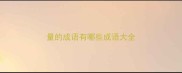 量的成语有哪些成语大全
