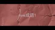 nve成语