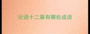 论语十二章有哪些成语