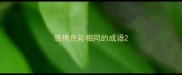 感情色彩相同的成语