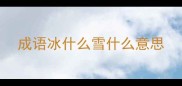 成语冰什么雪什么意思