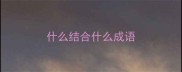 什么结合什么成语