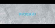 有试的成语