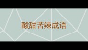 酸甜苦辣成语