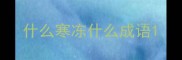 什么寒冻什么成语