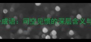 成语司打一成语司空见惯的深层含义与当代应用