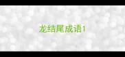 龙结尾成语