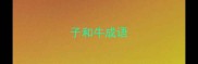子和牛成语