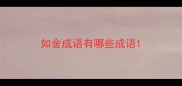 如舍成语有哪些成语