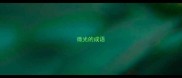 微光的成语