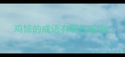 鸡惊的成语有哪些成语