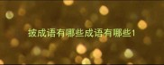 披成语有哪些成语有哪些