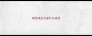 成语接龙方接什么成语