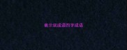 表示说成语四字成语
