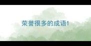 荣誉很多的成语