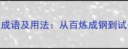 10个表示尝试的成语及用法从百炼成钢到试金石的智慧运用