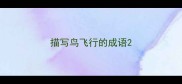 描写鸟飞行的成语