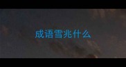 成语雪兆什么