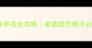 绿萼含春养花全攻略家庭园艺新手必看干货