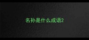 名孙是什么成语