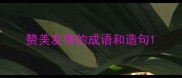 赞美友情的成语和造句