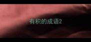 有积的成语