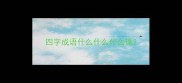 四字成语什么什么什么珠