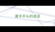 妻字开头的成语
