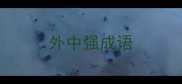 外中强成语