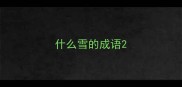 什么雪的成语