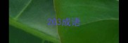 203成语