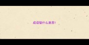 成语璧什么意思