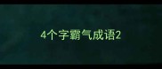 4个字霸气成语