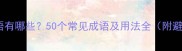二字的成语有哪些50个常见成语及用法全附避坑指南