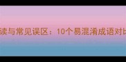 共飞成语的正确解读与常见误区10个易混淆成语对比及实用应用指南