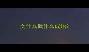 文什么武什么成语