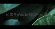 孙带头的成语有哪些成语