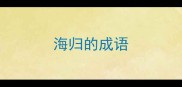 海归的成语
