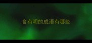 含有明的成语有哪些